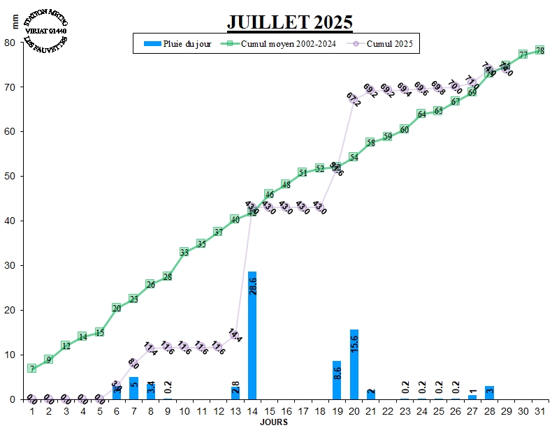 GRAPH PLUIE 07-25.jpg